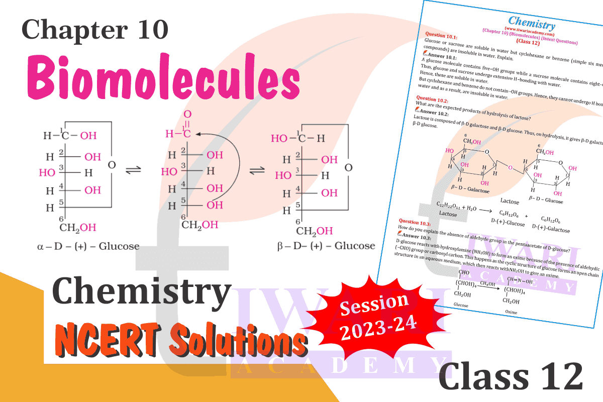 Class 12 Chemistry Chapter 10