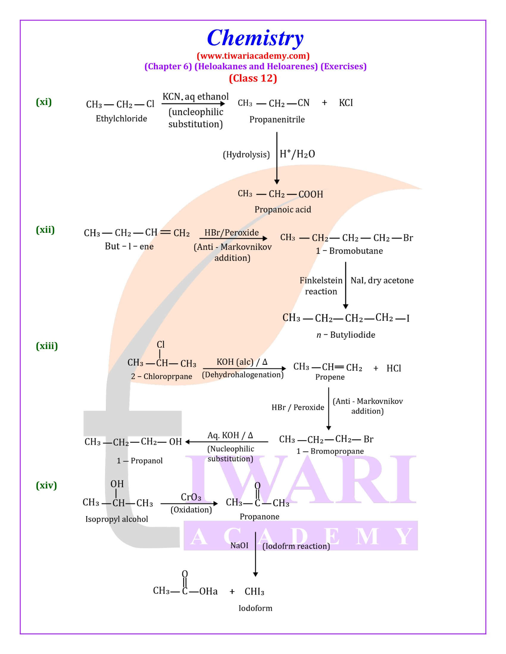 Class 12 Chemistry Chapter 6 Exercises Answers