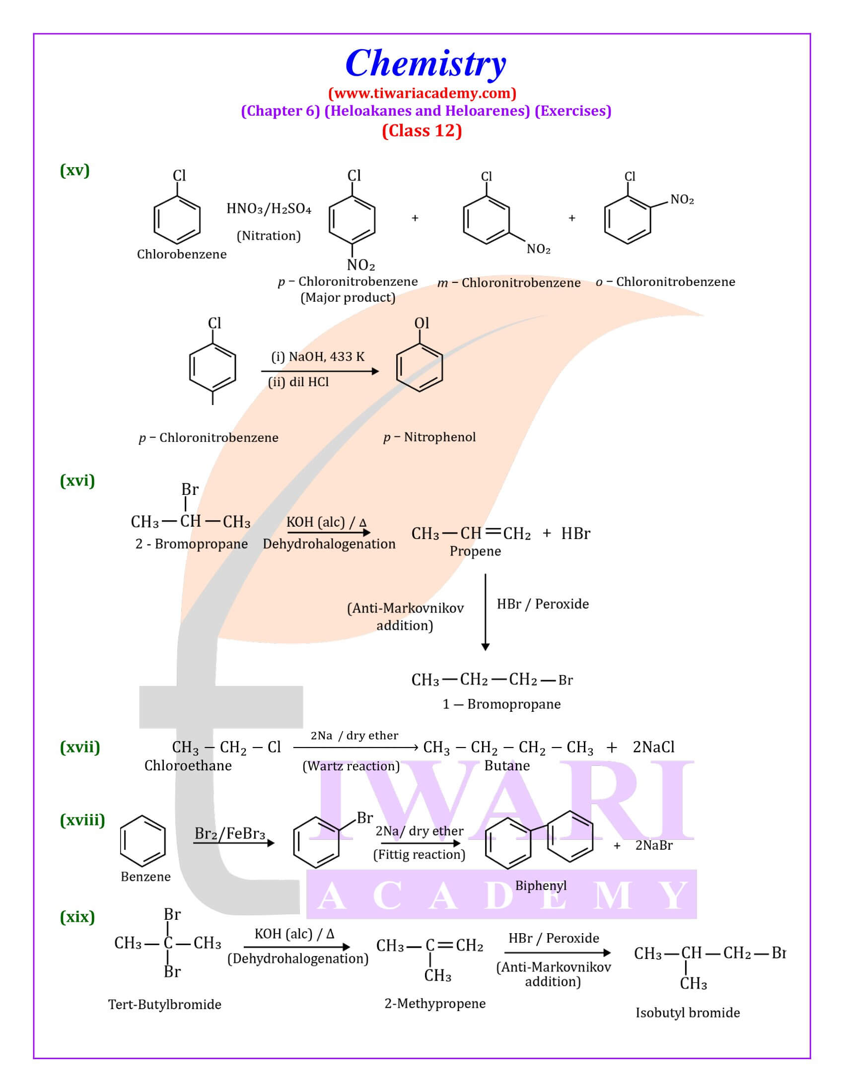 Class 12 Chemistry Chapter 6 Exercises Solutions