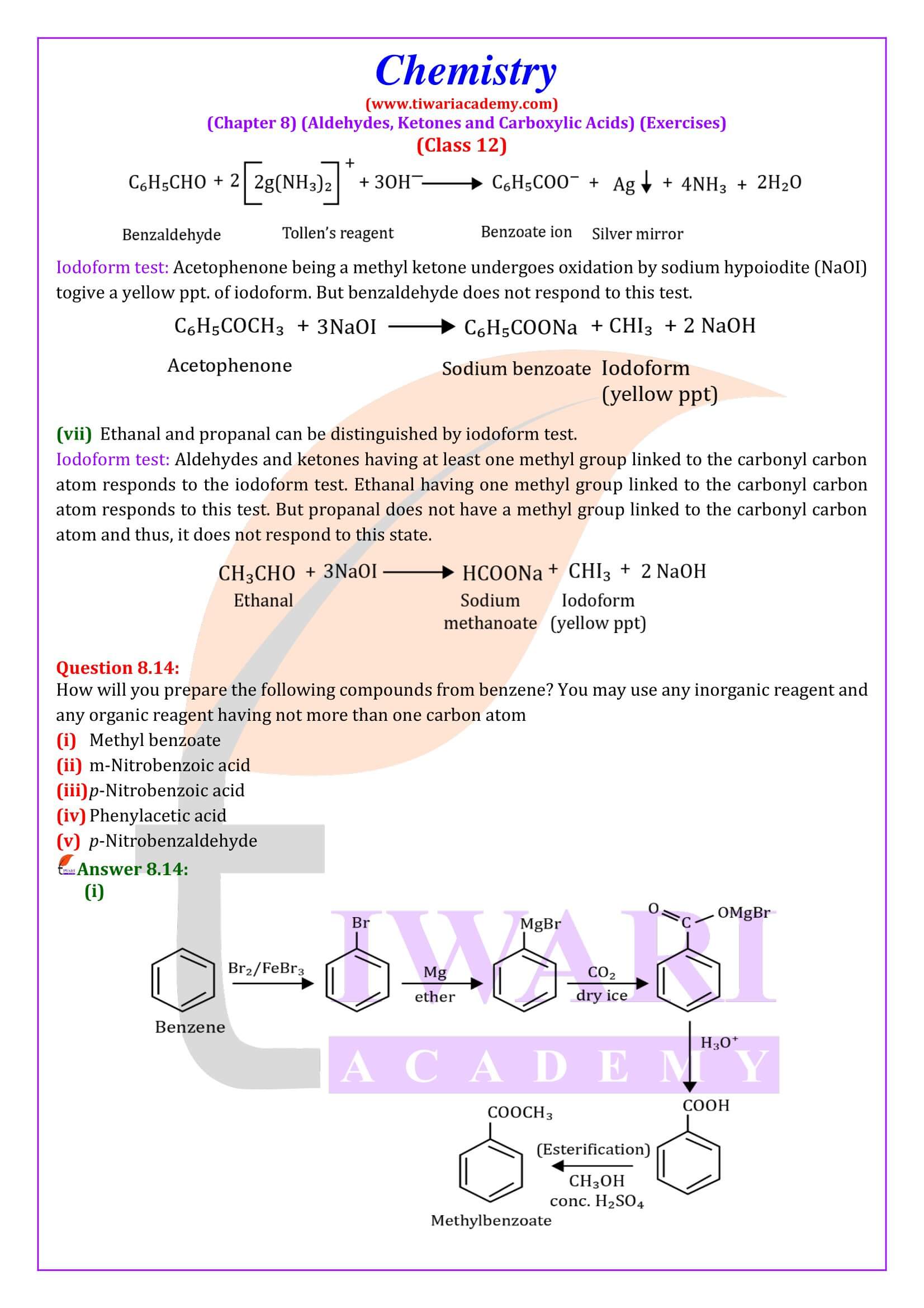 Class 12 Chemistry Chapter 8 answers in English