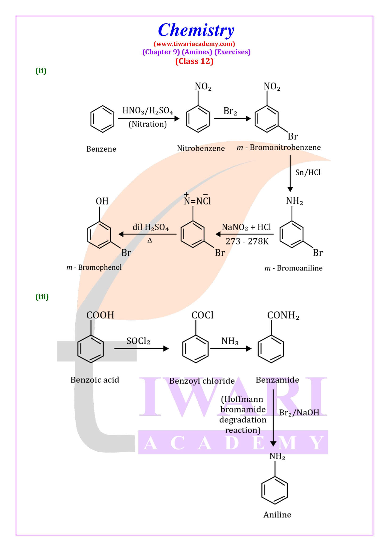 NCERT Class 12 Chemistry Chapter 9 Question Answers