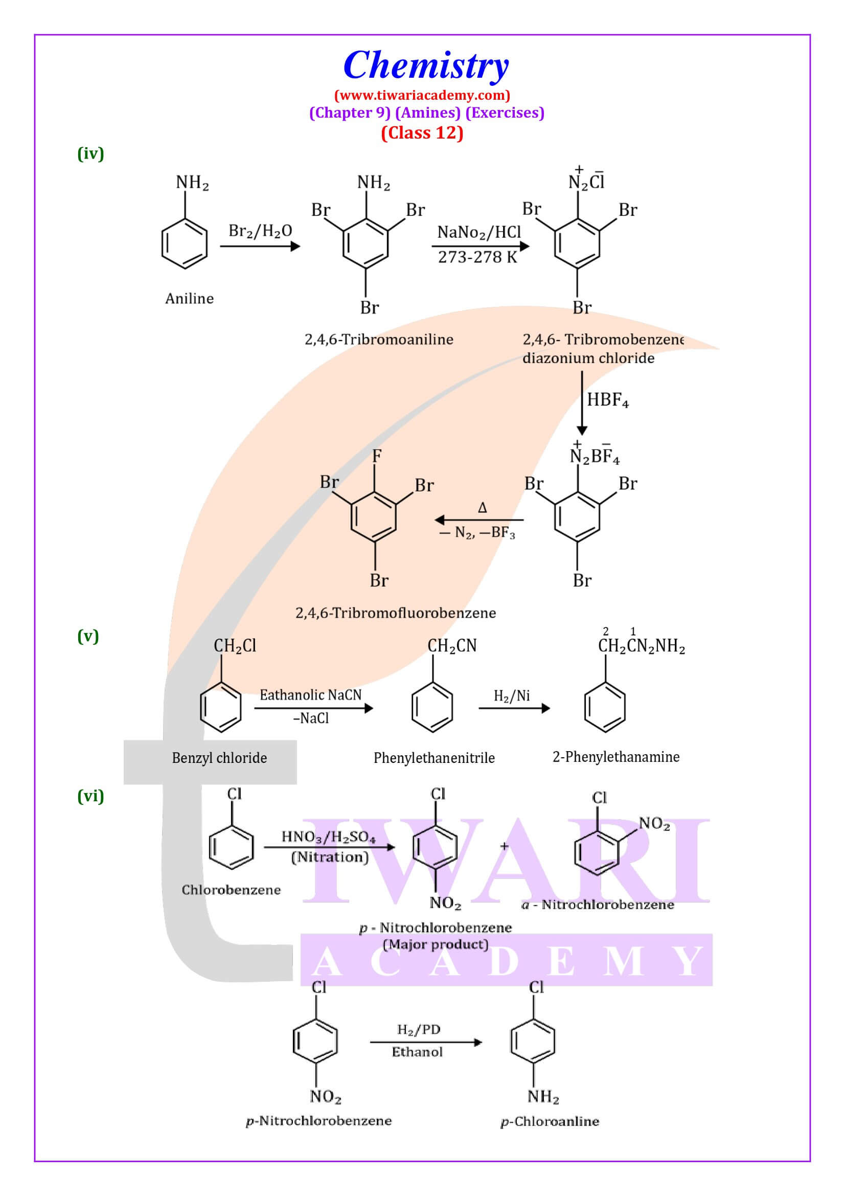 NCERT Class 12 Chemistry Chapter 9 guide in English