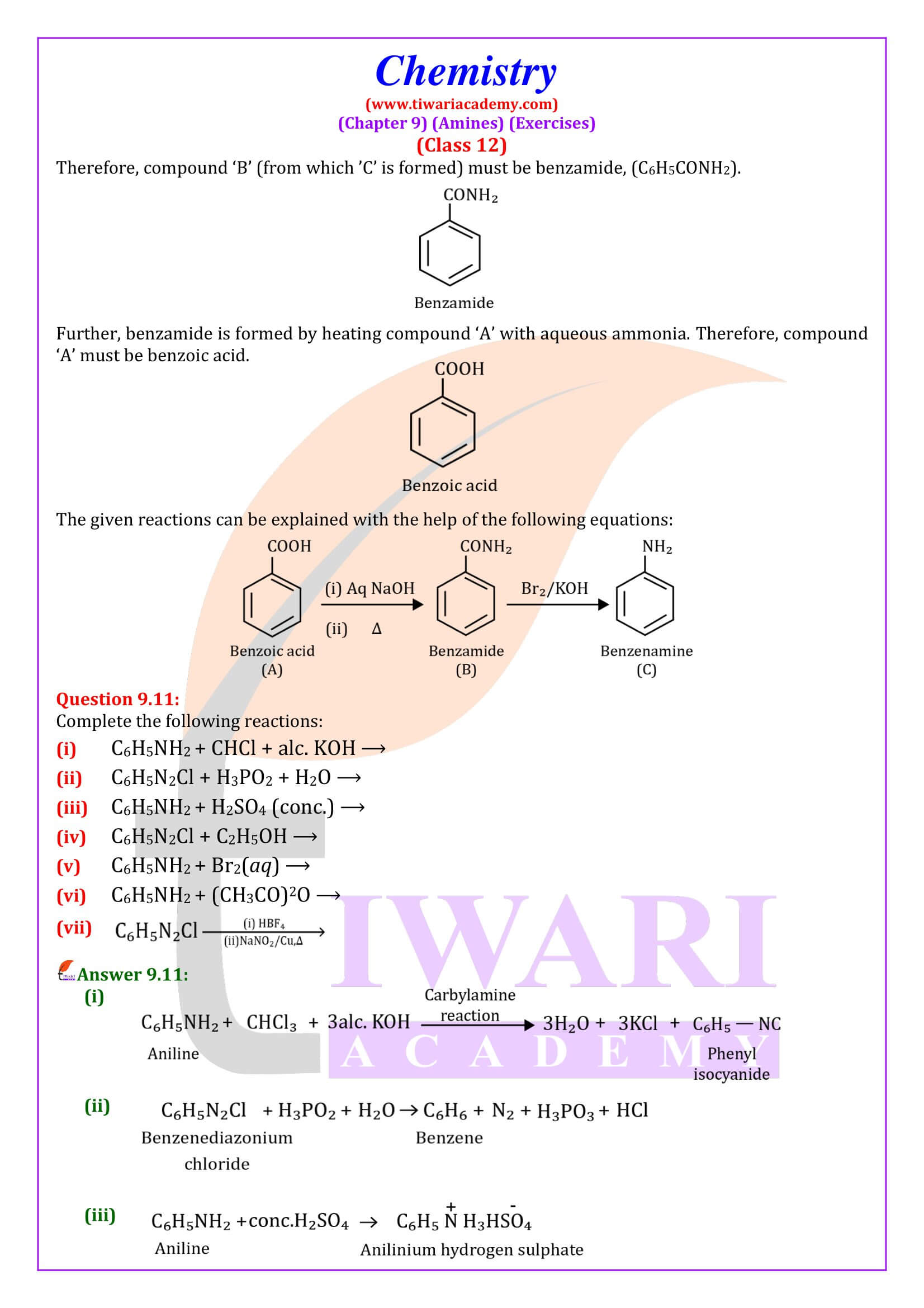 Class 12 Chemistry Chapter 9 in English medium