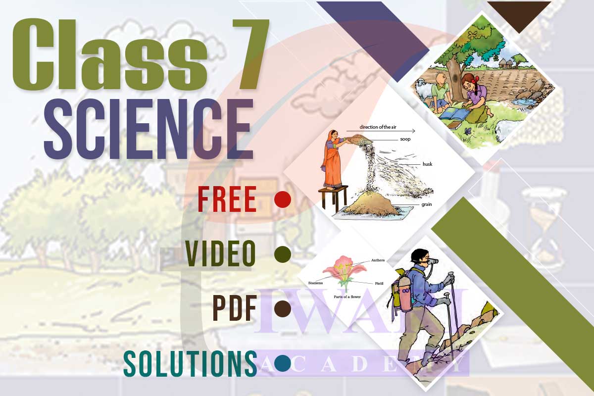 Class 7 Science Solutions