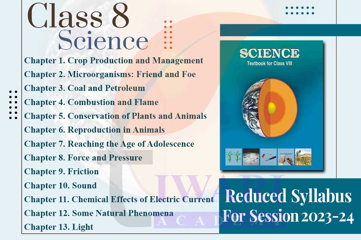 Class 8 Science