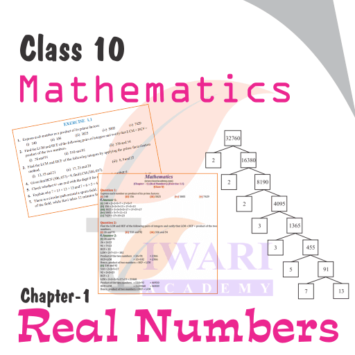 Class 10 Maths Chapter 1 NCERT Solutions