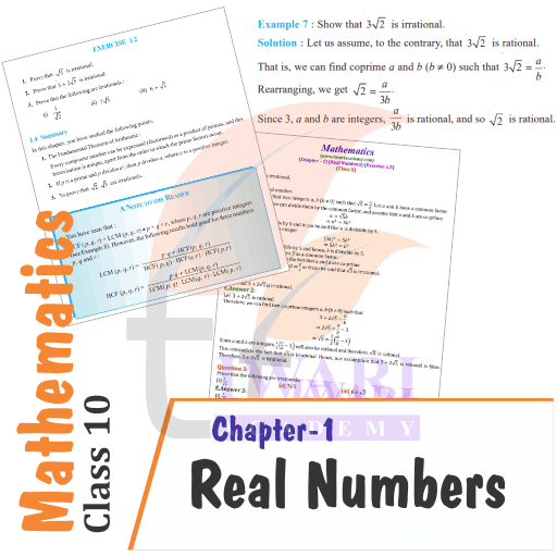 class 10 Maths chapter 1