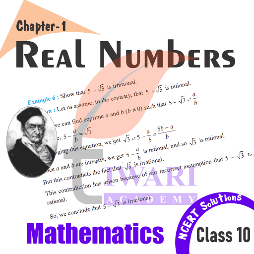 Class 10 Maths Chapter 1 Solutions