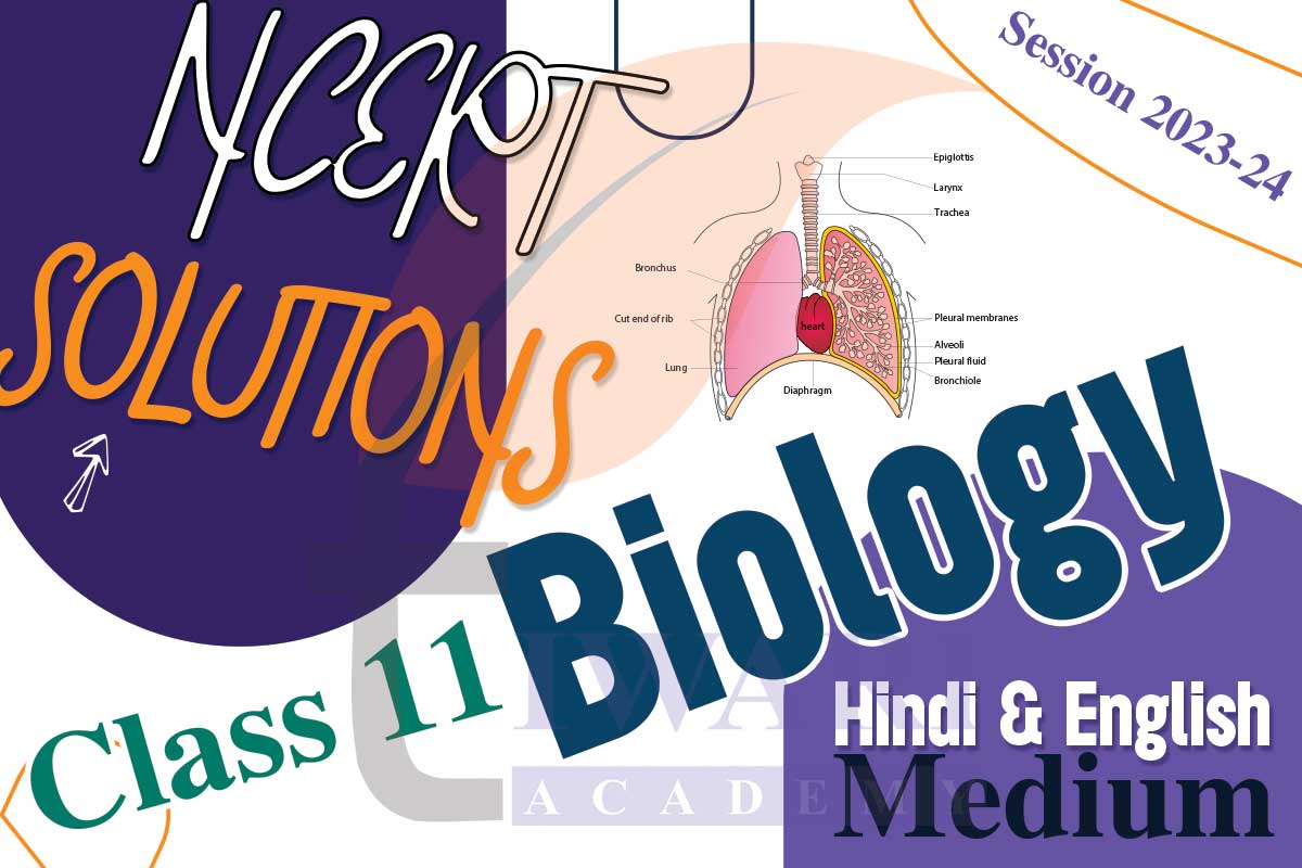 Solutions for Class 11 Biology