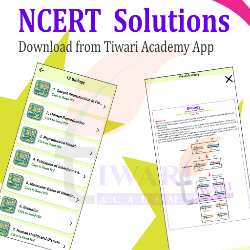 Step 2: Download NCERT Solutions using NCERT Solution App.
