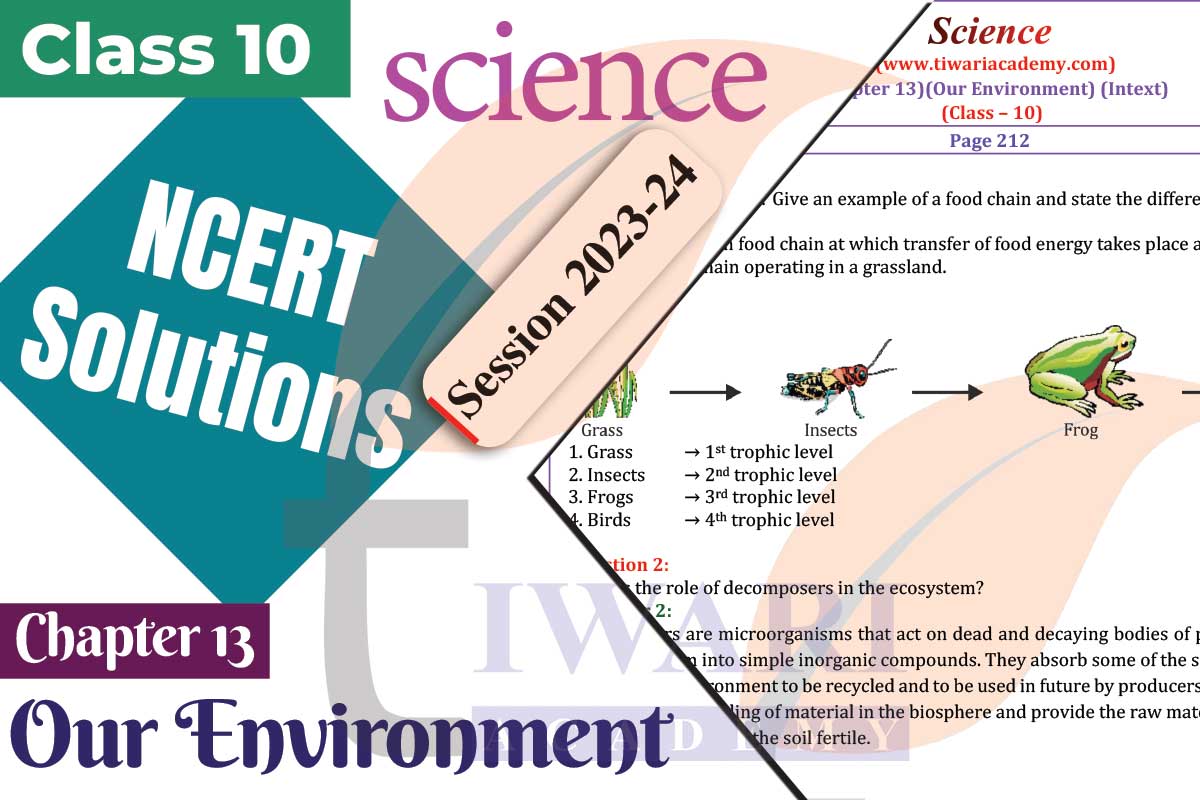 Class 10 Science Chapter 13 Our Environment