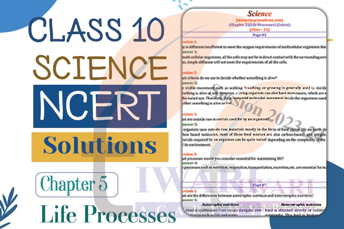 Class 10 Science Chapter 5 Life Processes