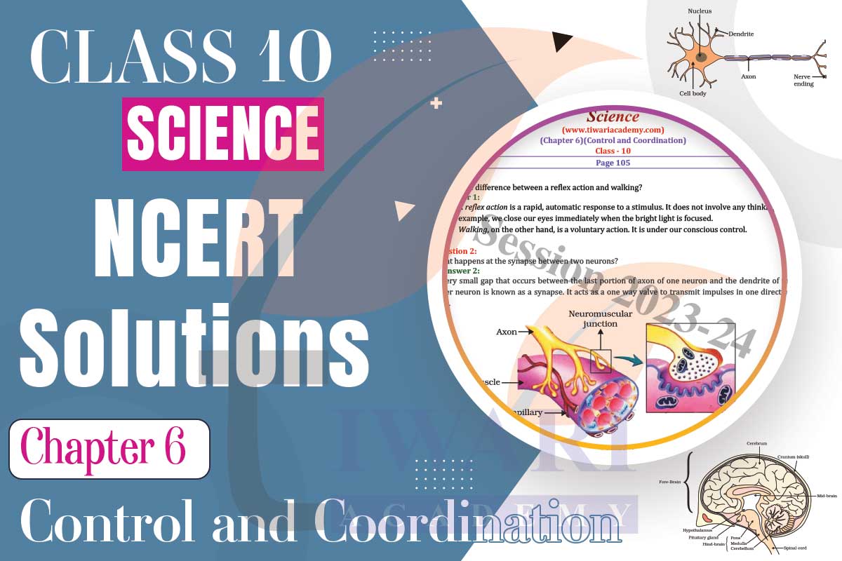 Class 10 Science Chapter 6 Control and Coordination