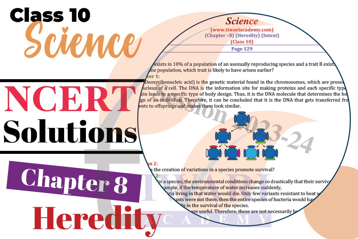 Class 10 Science Chapter 8 Heredity
