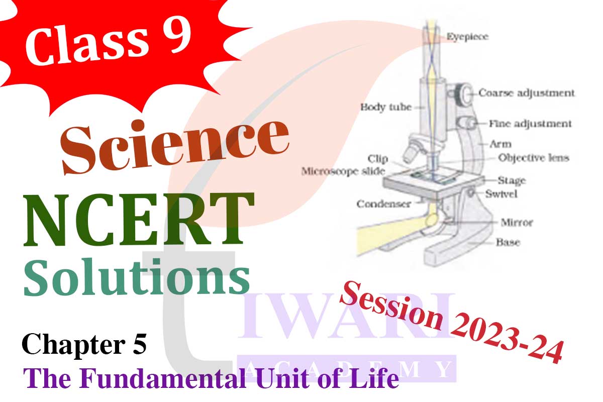 Class 9 Science Chapter 5 The fundamental unit of life