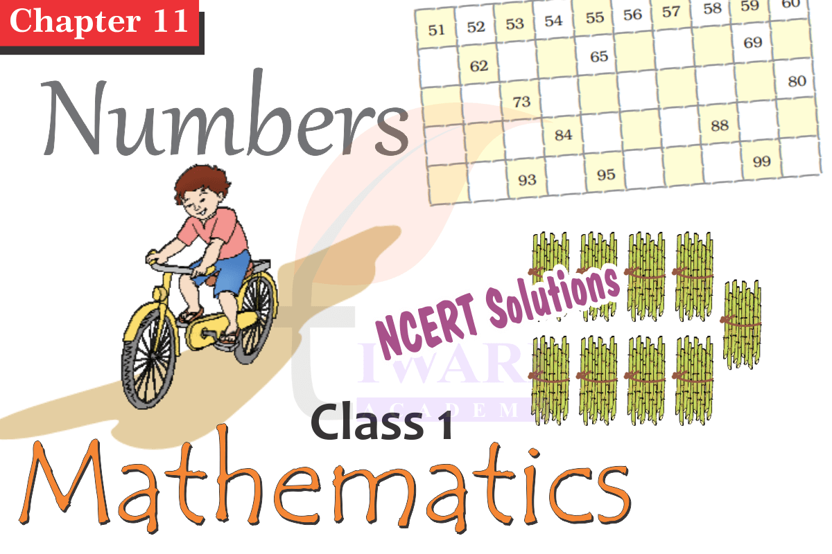 Class 1 Maths Chapter 11