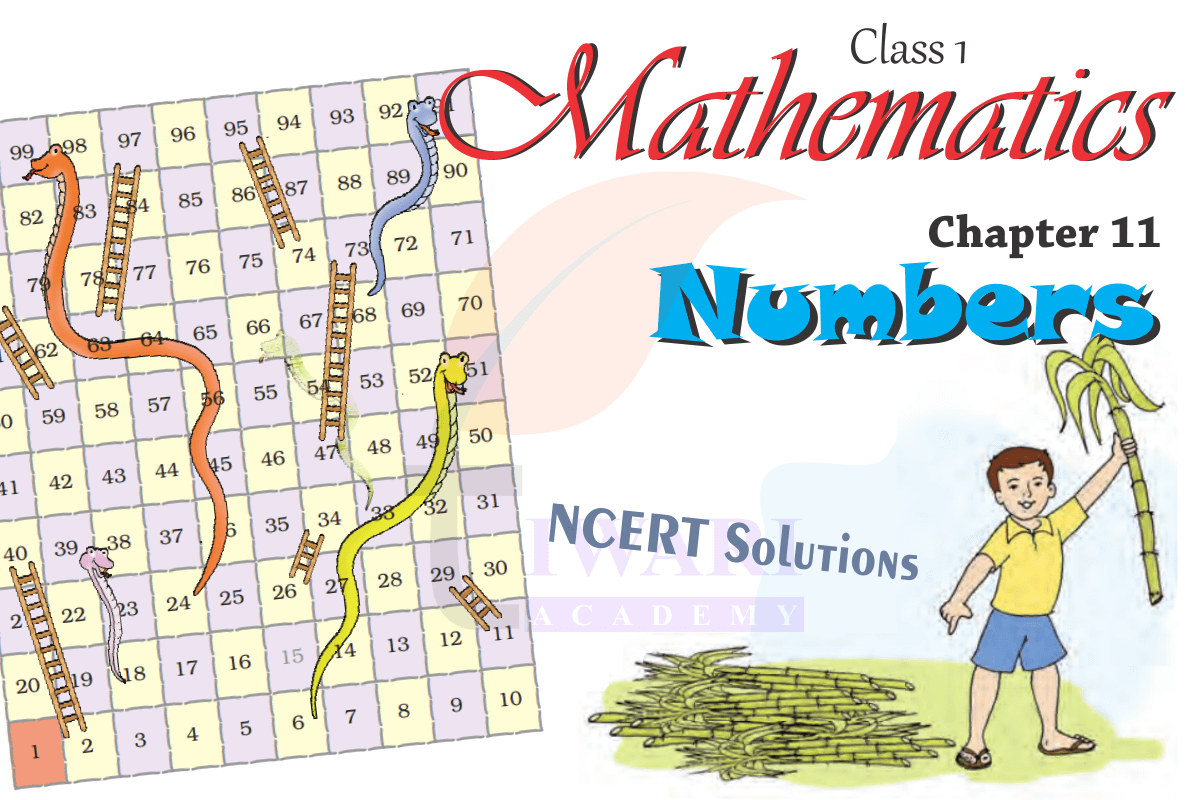 Class 1 Maths Chapter 11 Numbers