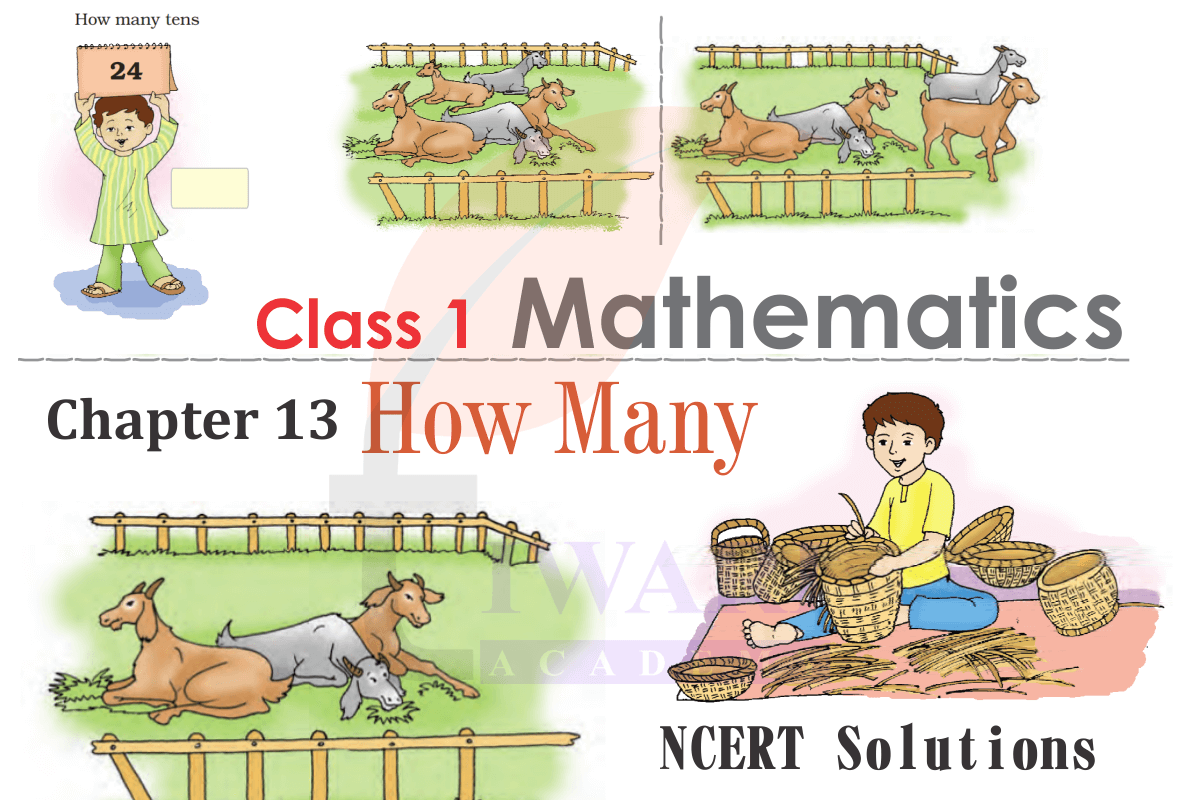Class 1 Maths Chapter 13
