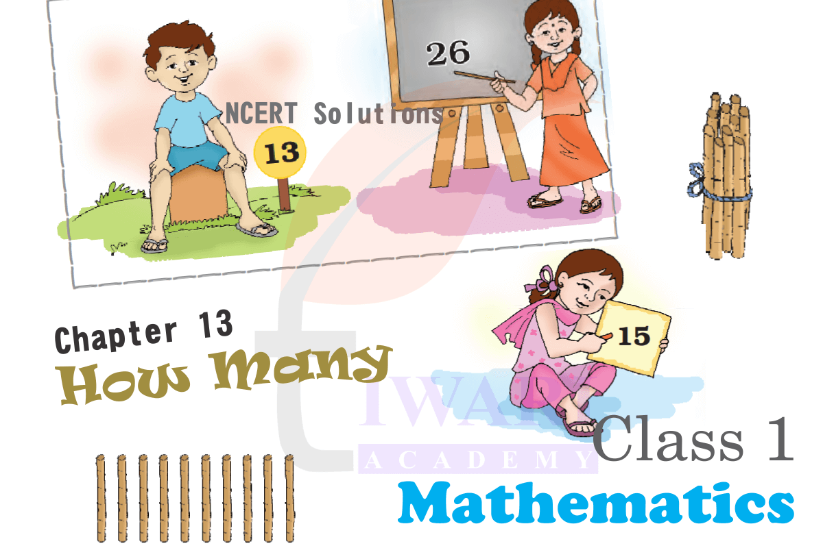 Class 1 Maths Chapter 13 How Many