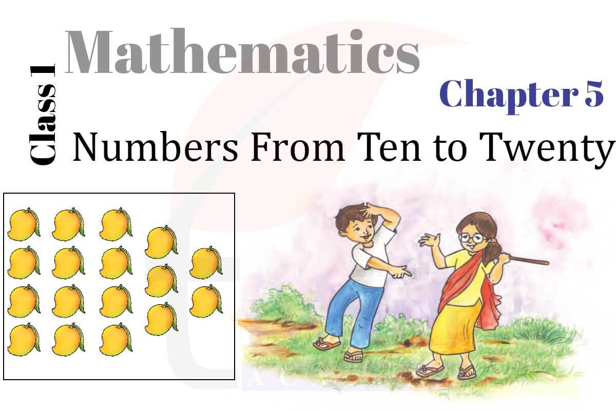 Class 1 Maths Chapter 5