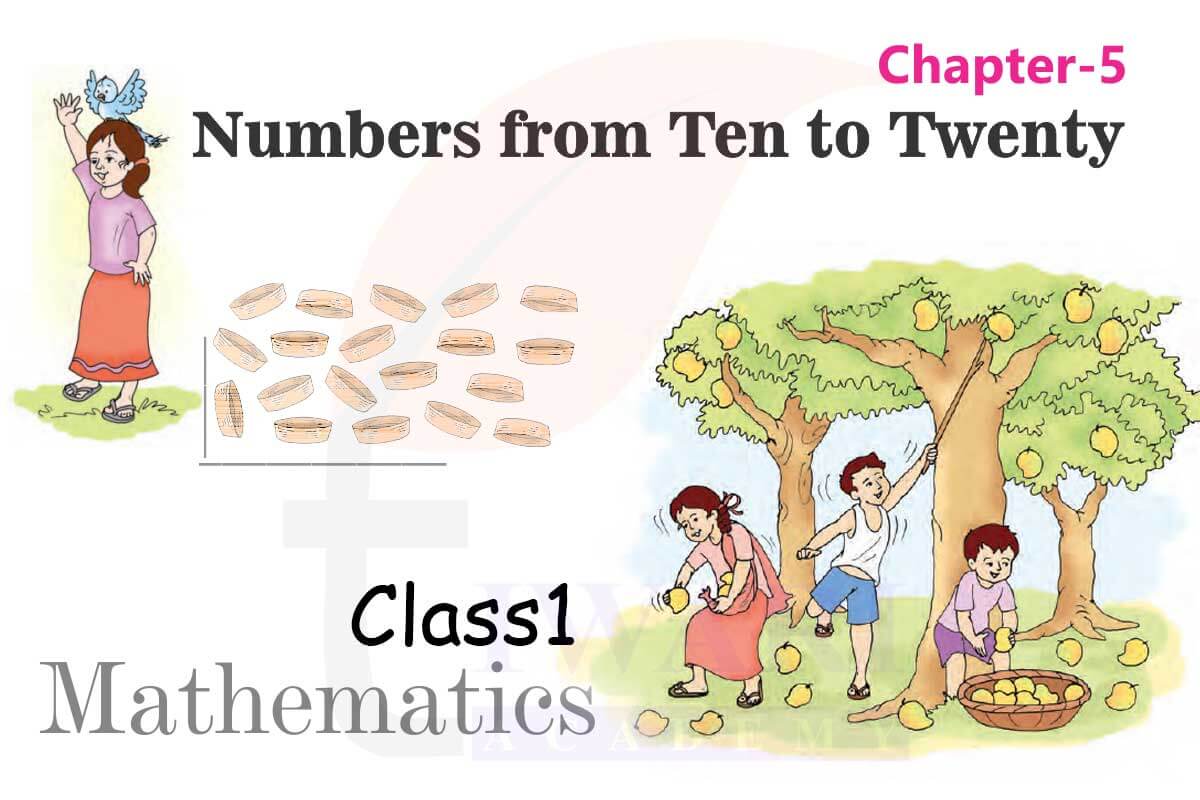 Class 1 Maths Chapter 5 Number from Ten to Twenty