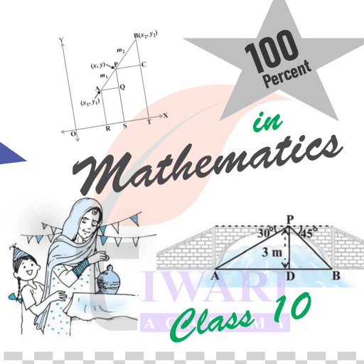 Score 100% in class 10 Mathematics