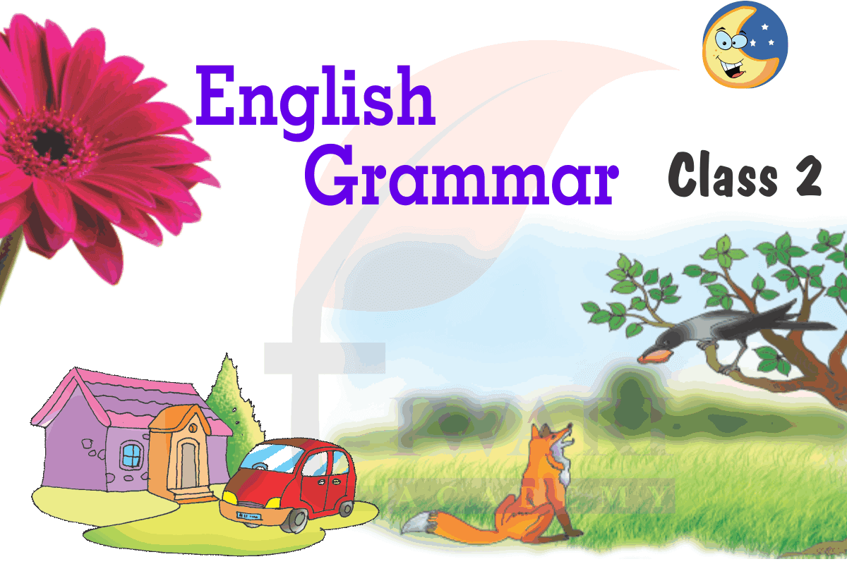 Class 2 English Grammar