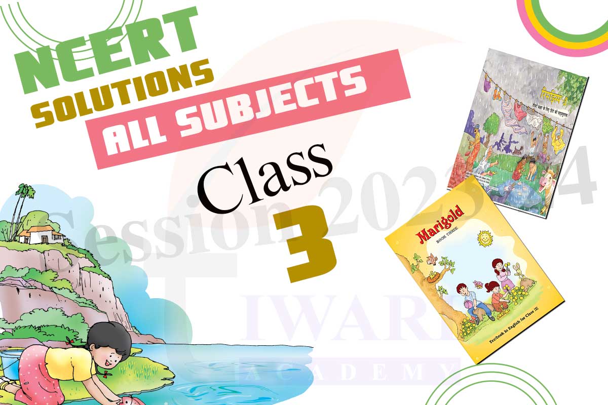 NCERT Solutions for Class 3