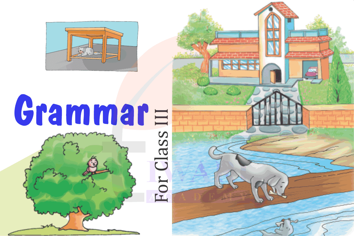 Class 3 English Grammar solution