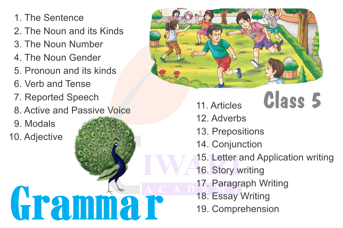 Class 5 English Grammar book