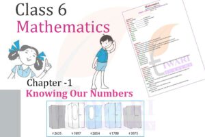 Class 6 Maths Chapter 1