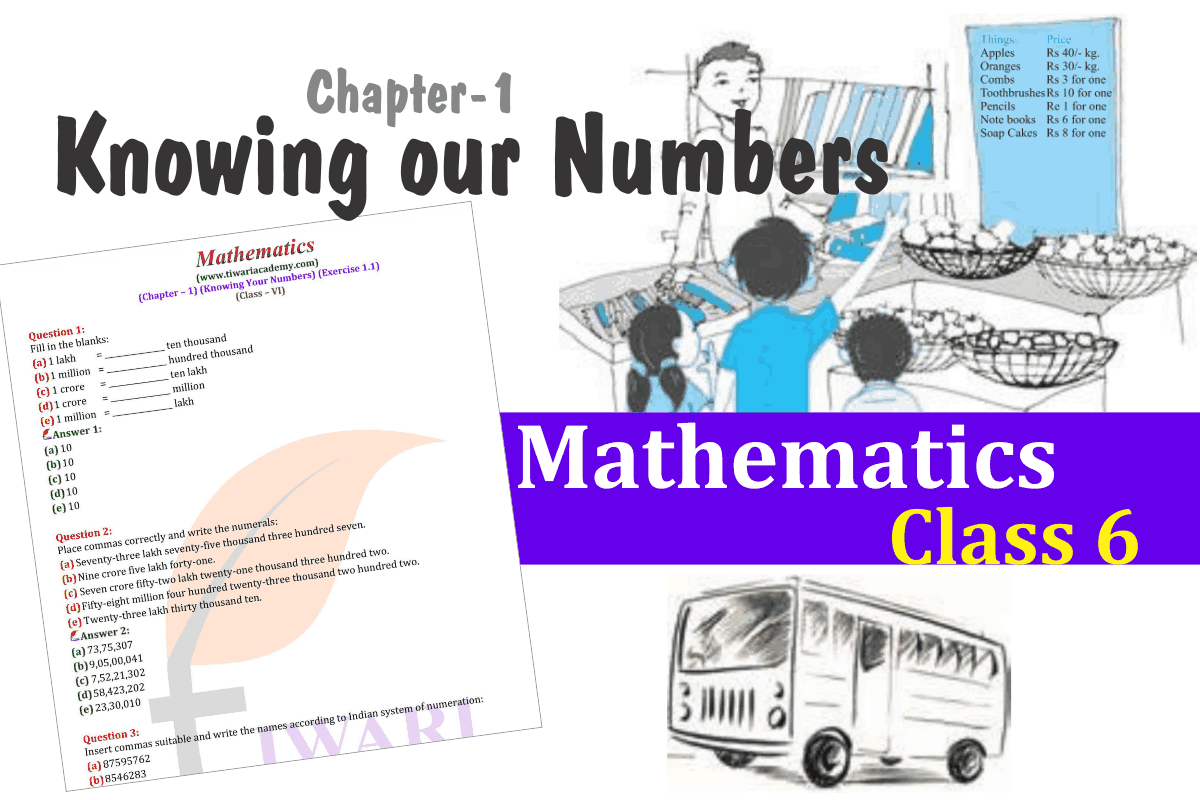 Class 6 Maths Chapter 1