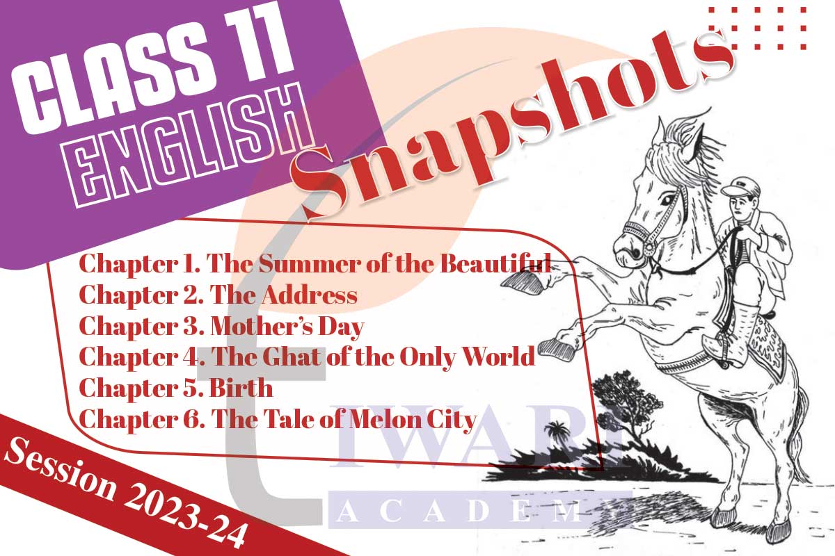 Class 11 English Snapshot Solutions