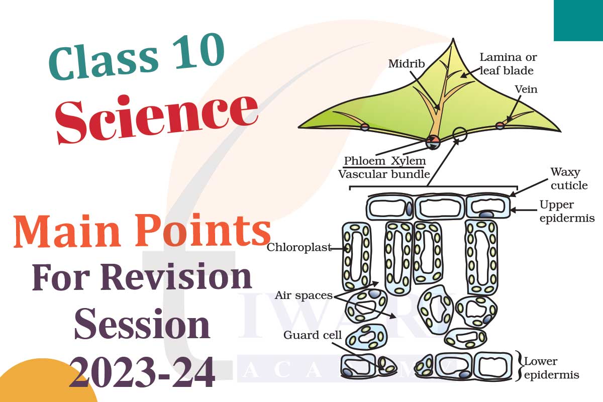 How to prepare Class 10 Science in one or two months?