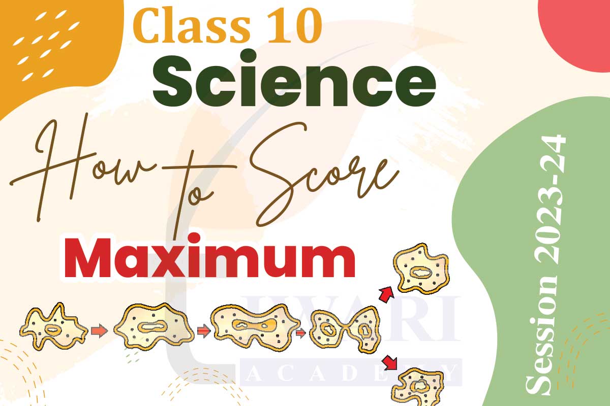 The Reduced Syllabus for Class 10 Science