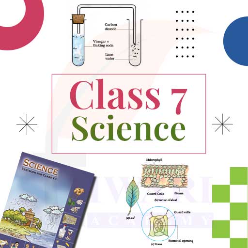 NCERT Solutions for Class 7 Science Updated for Session 2024-25