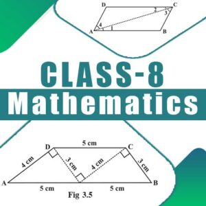 Class 8 Maths NCERT Solutions