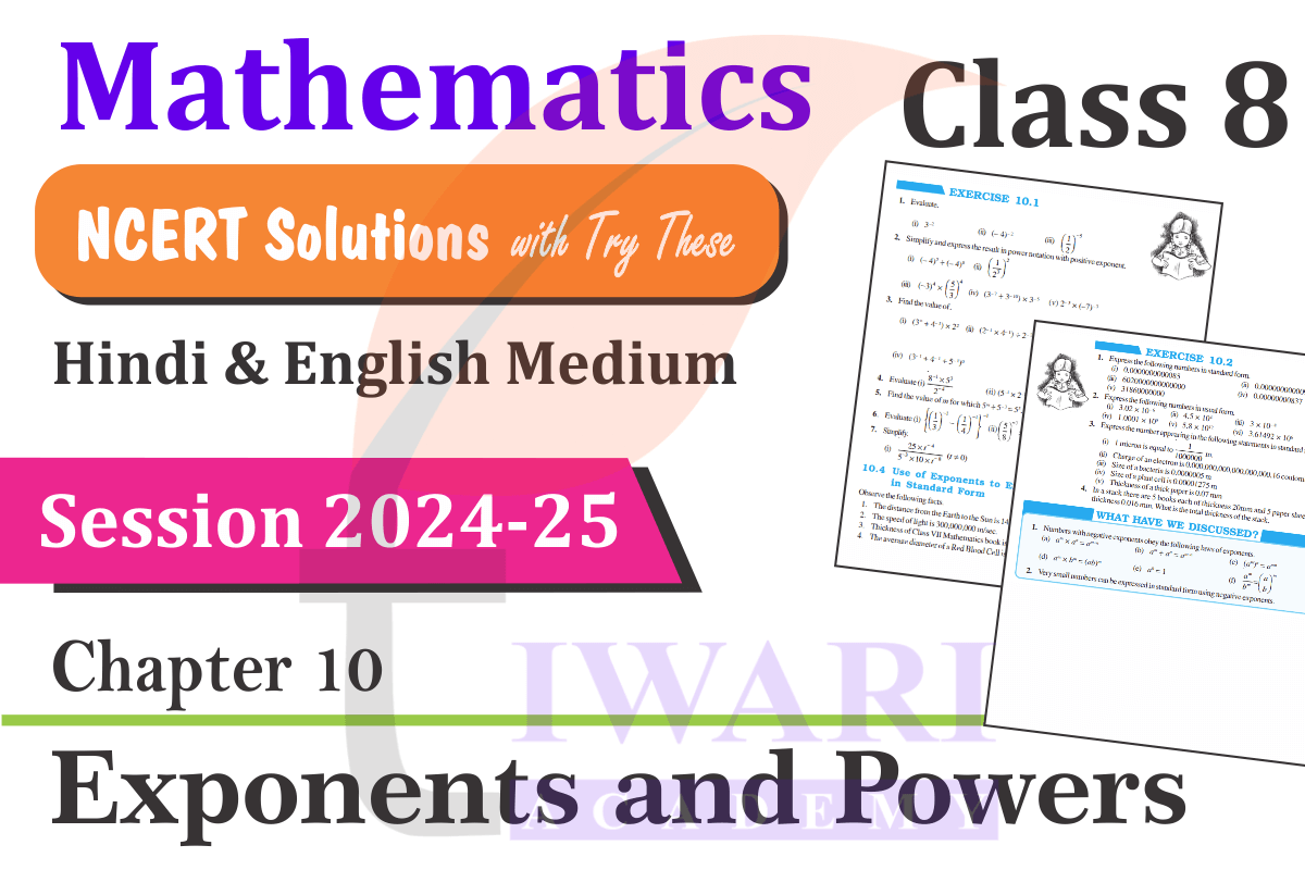 Class 8 Maths Chapter 10 Solutions