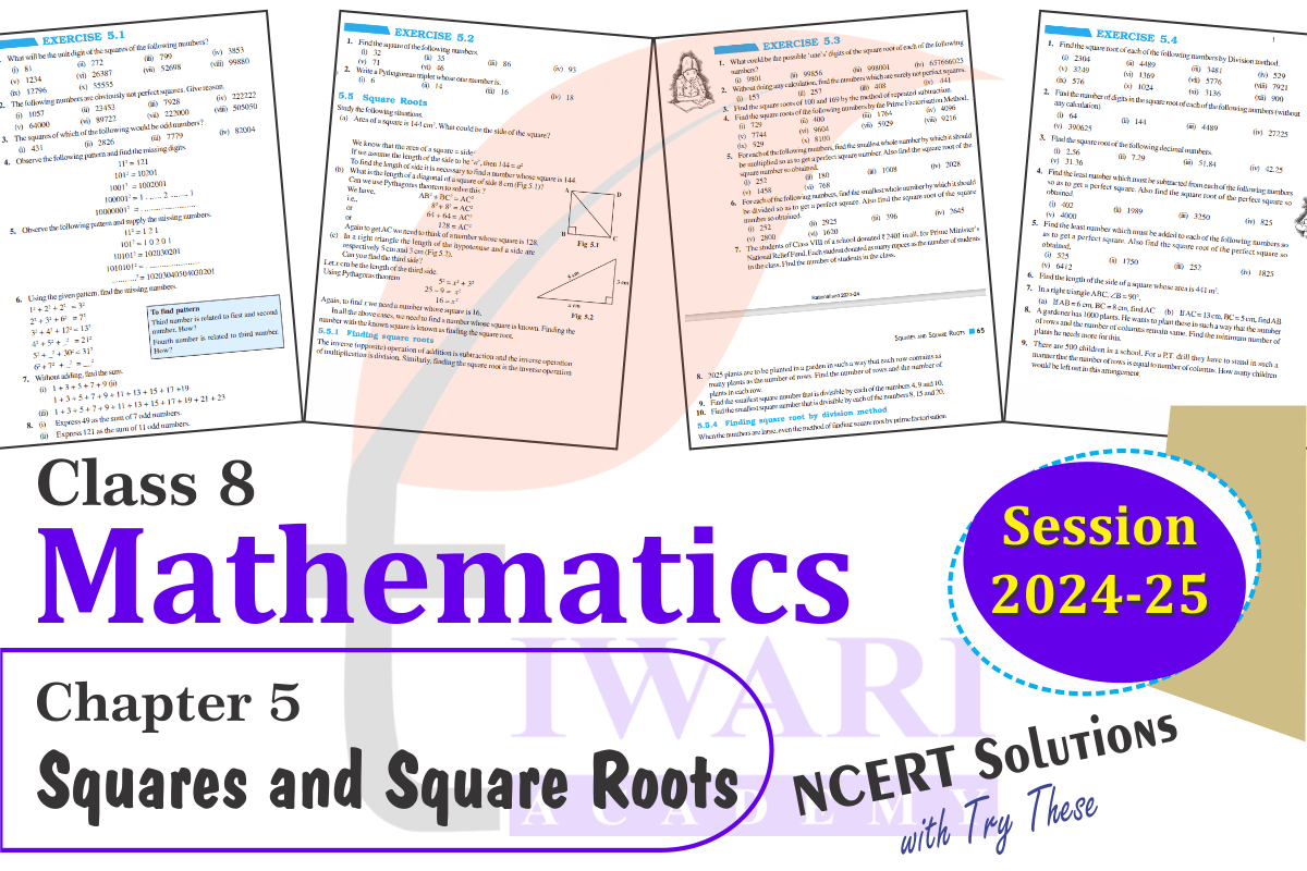 Class 8 Maths Chapter 5 Solutions