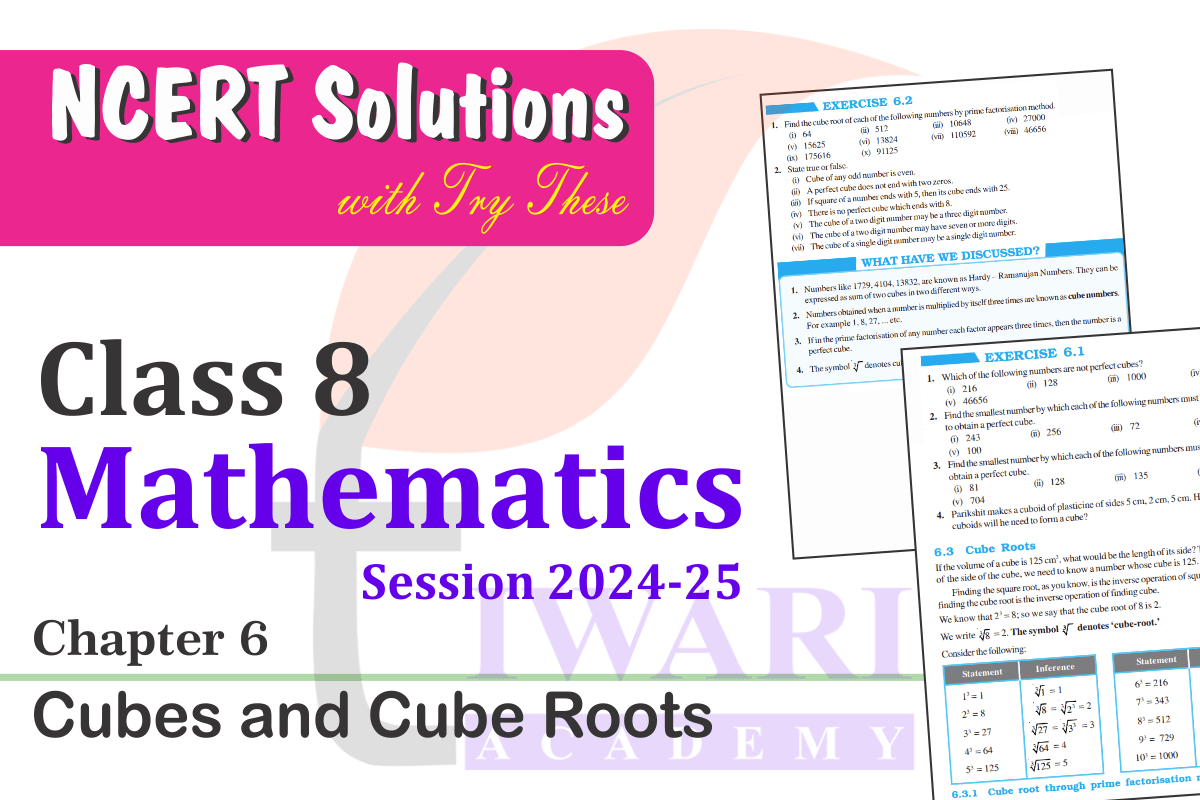 Class 8 Maths Chapter 6 Solutions