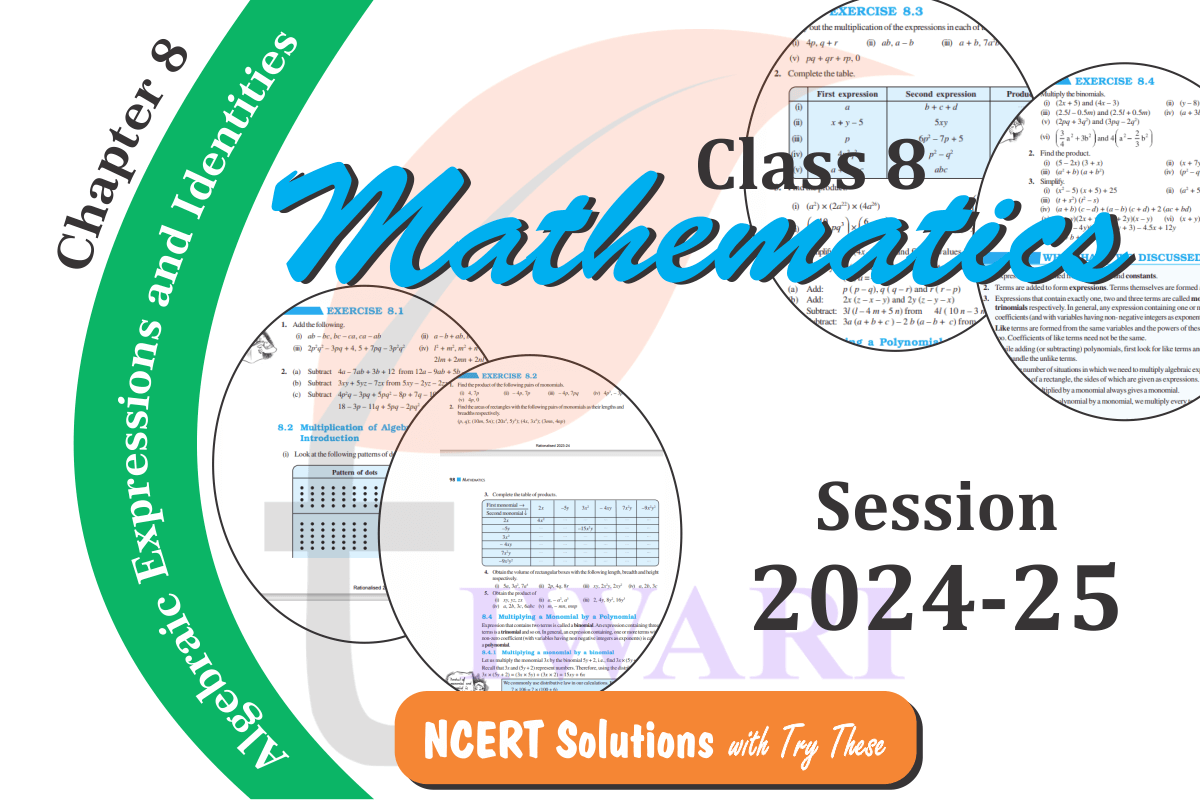 Class 8 Maths Chapter 8 Solutions