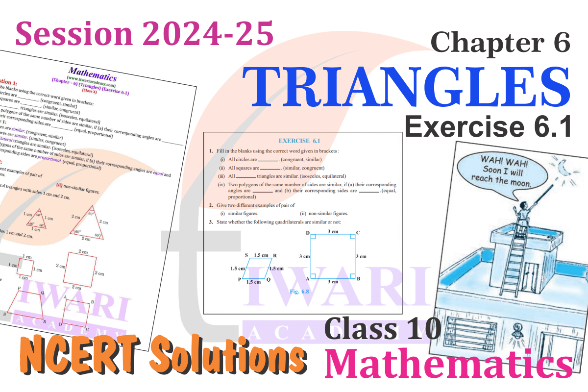 Class 10 Maths Chapter 6 Exercise 6.1
