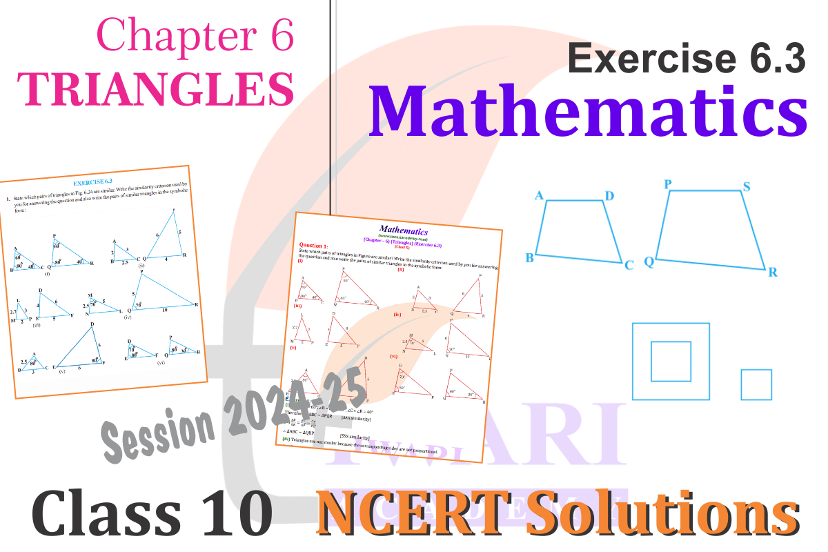 Class 10 Maths Chapter 6 Exercise 6.3
