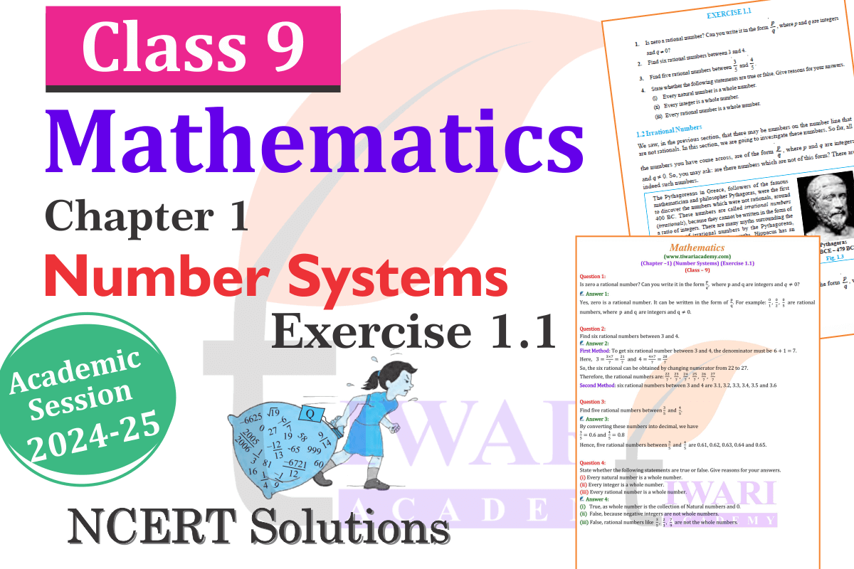 Class 9 Maths Chapter 1 Exercise 1.1