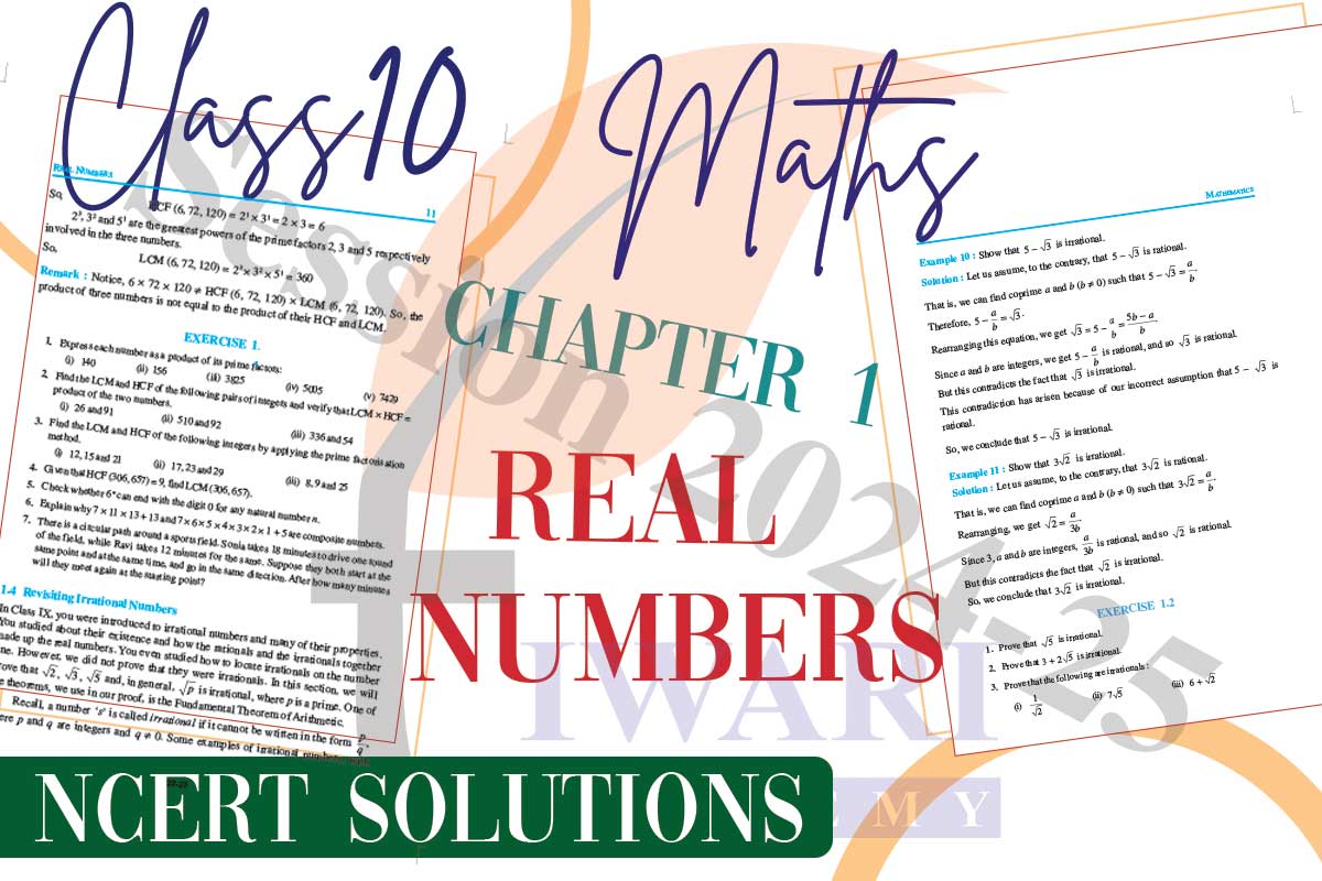 Class 10 Maths Chapter 1 Solutions
