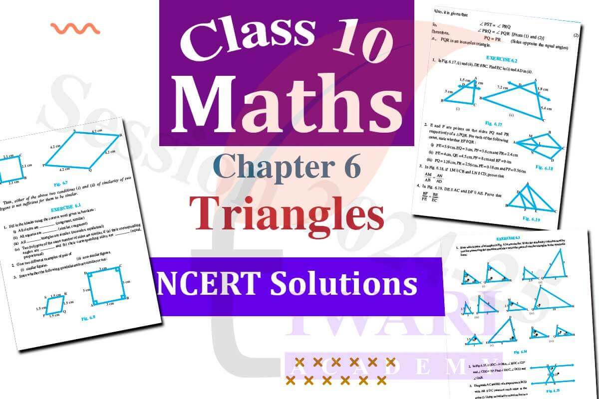 Class 10 Maths Chapter 6 Solutions