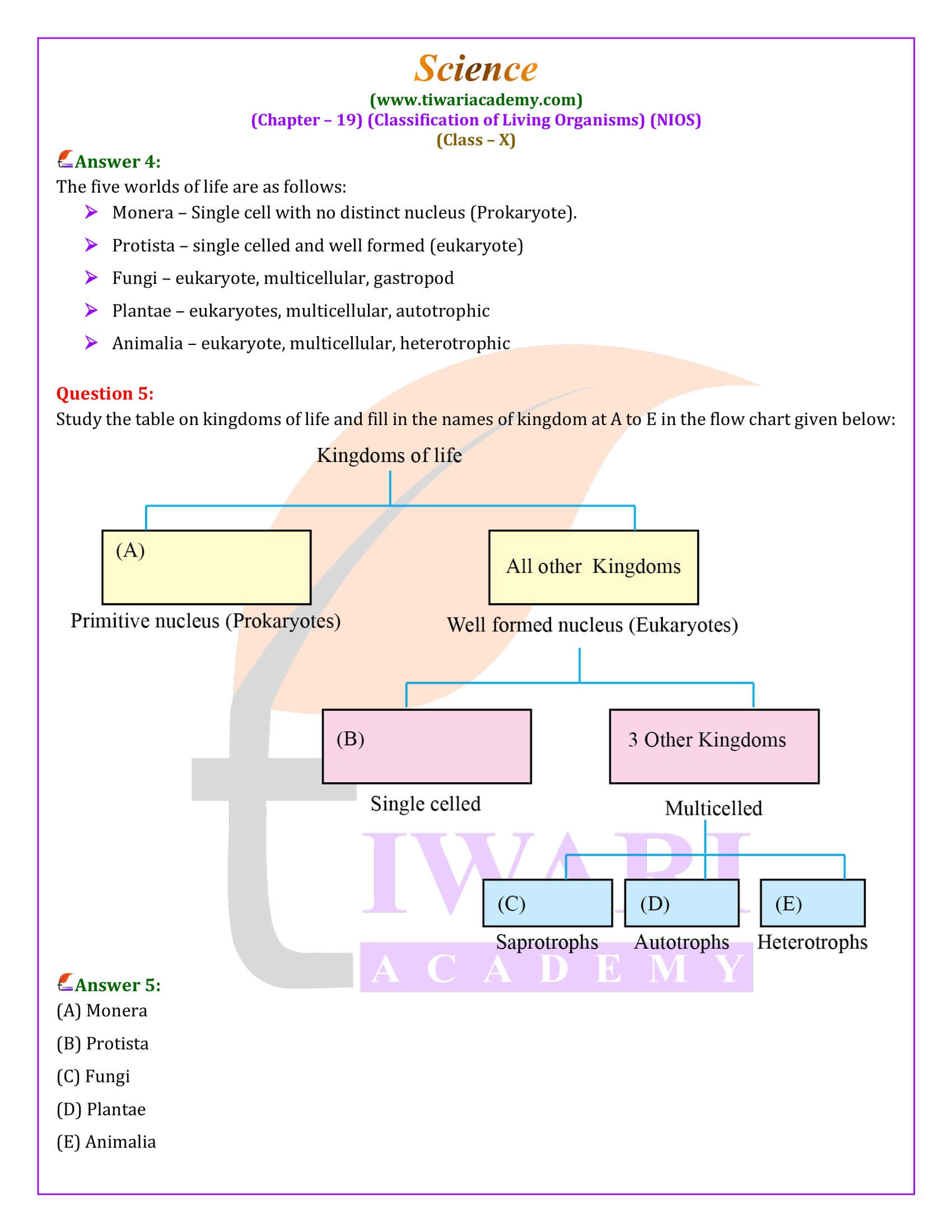 NIOS Class 10 Science Chapter 19 Answers