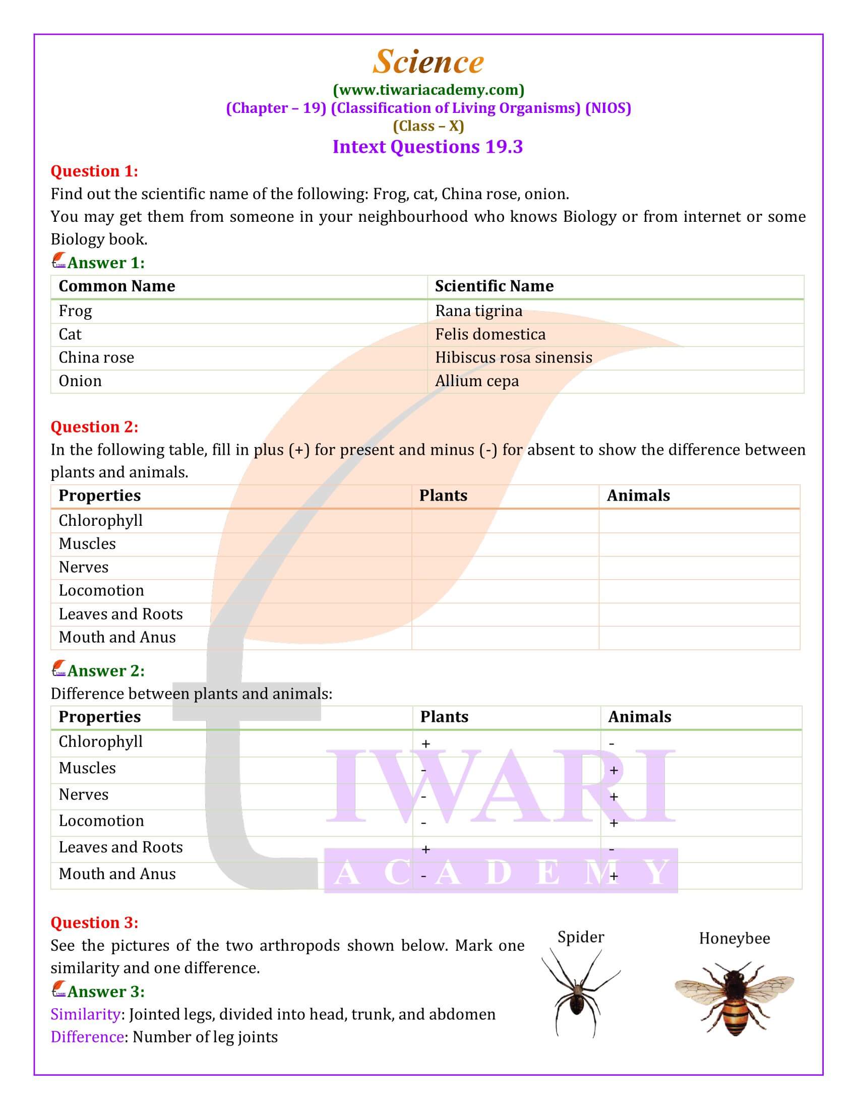 NIOS Class 10 Science Chapter 19 Exercises Solutions