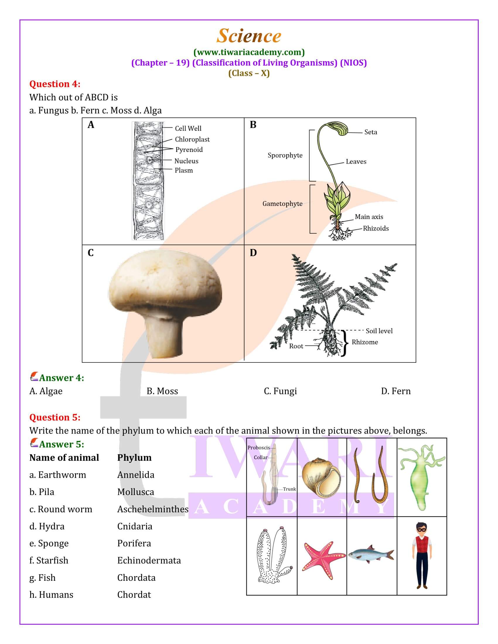 NIOS Class 10 Science Chapter 19 Question Answers