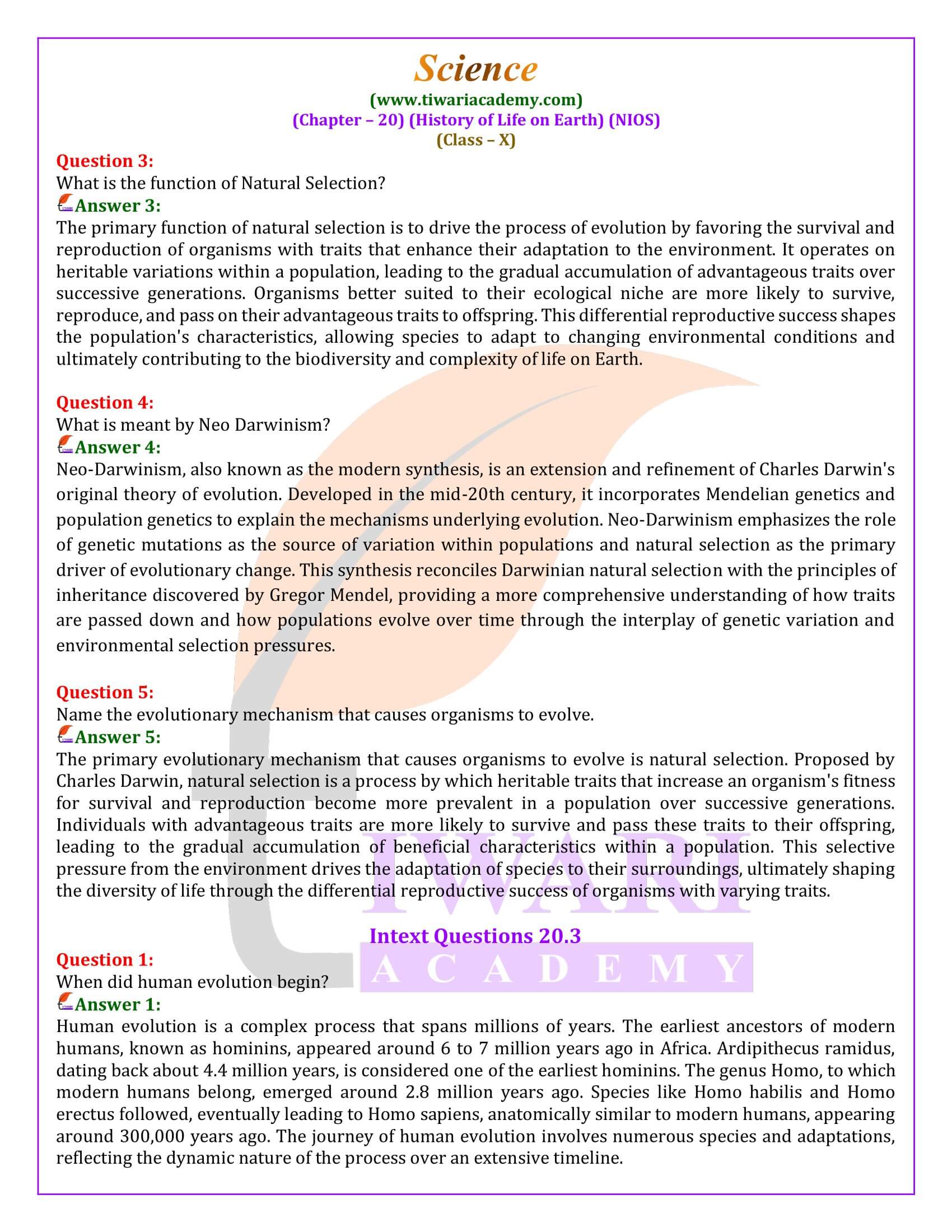 NIOS Class 10 Science Chapter 20 Exercises Solutions